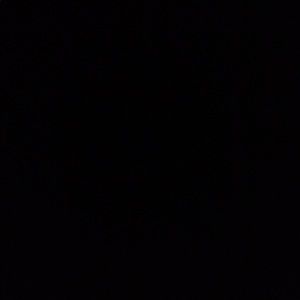 Meet your Posher, Deevon